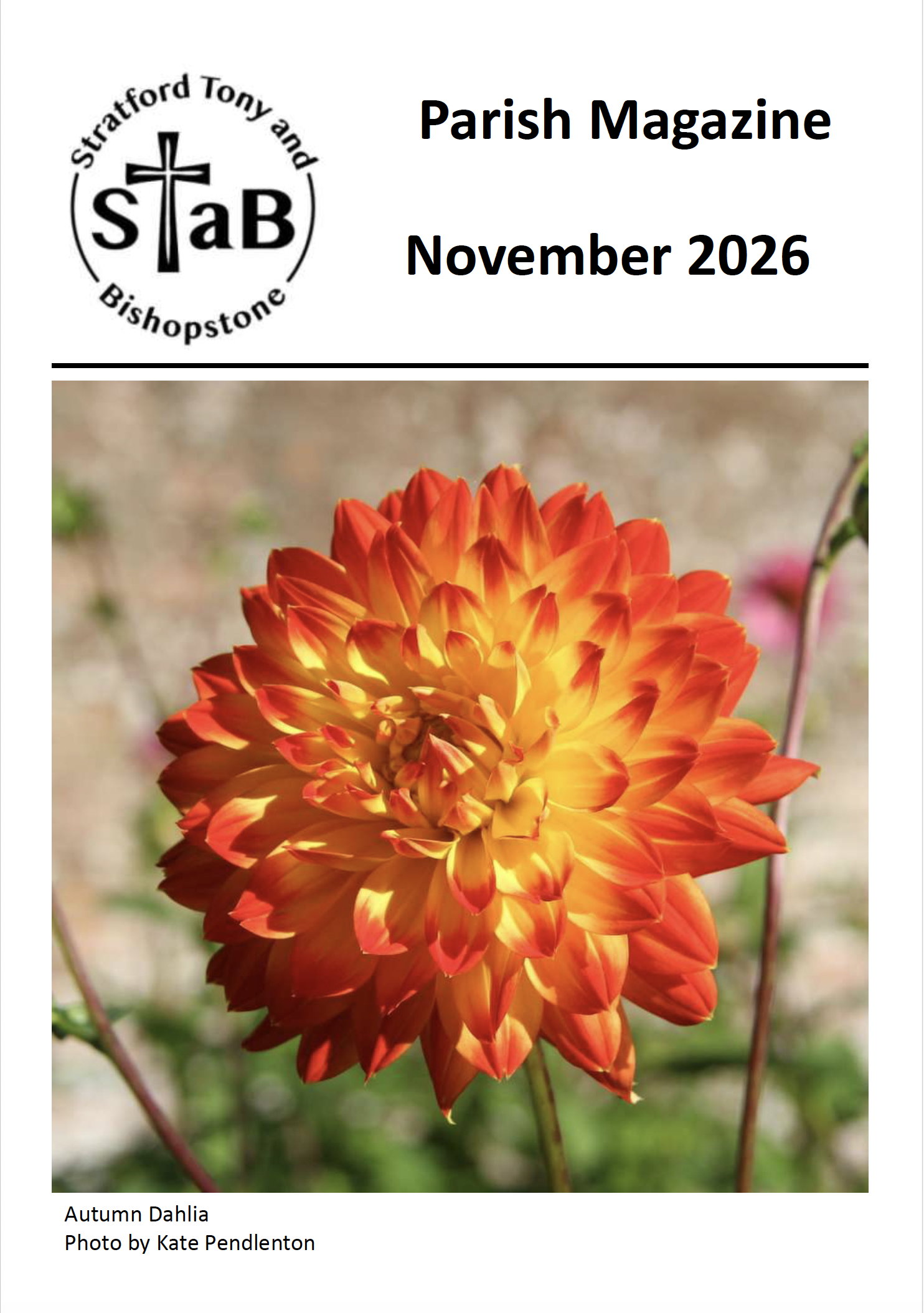 Cover of STaB November 2026